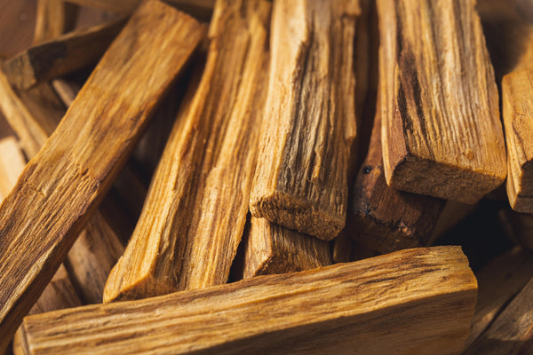 境界線上のテロワール：パロサント、二つの聖域を巡る思索