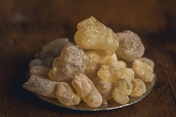 峻烈なる琥珀の雫：フランキンセンス、神と脳を繋ぐ「乳香」の考現学