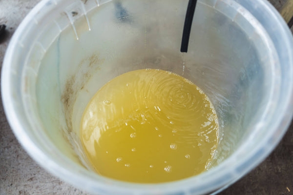 揮発する生命の記憶：精油とは？エッセンスという名の「翻訳」を巡って