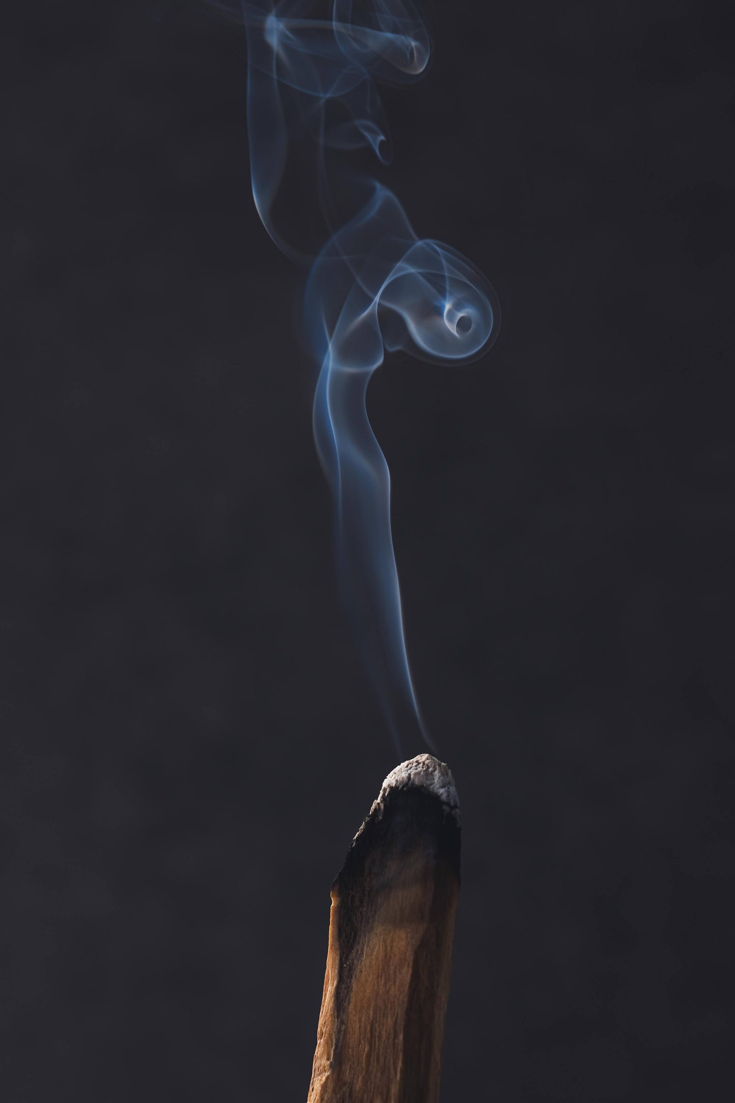 パロサントスティック　4本入り