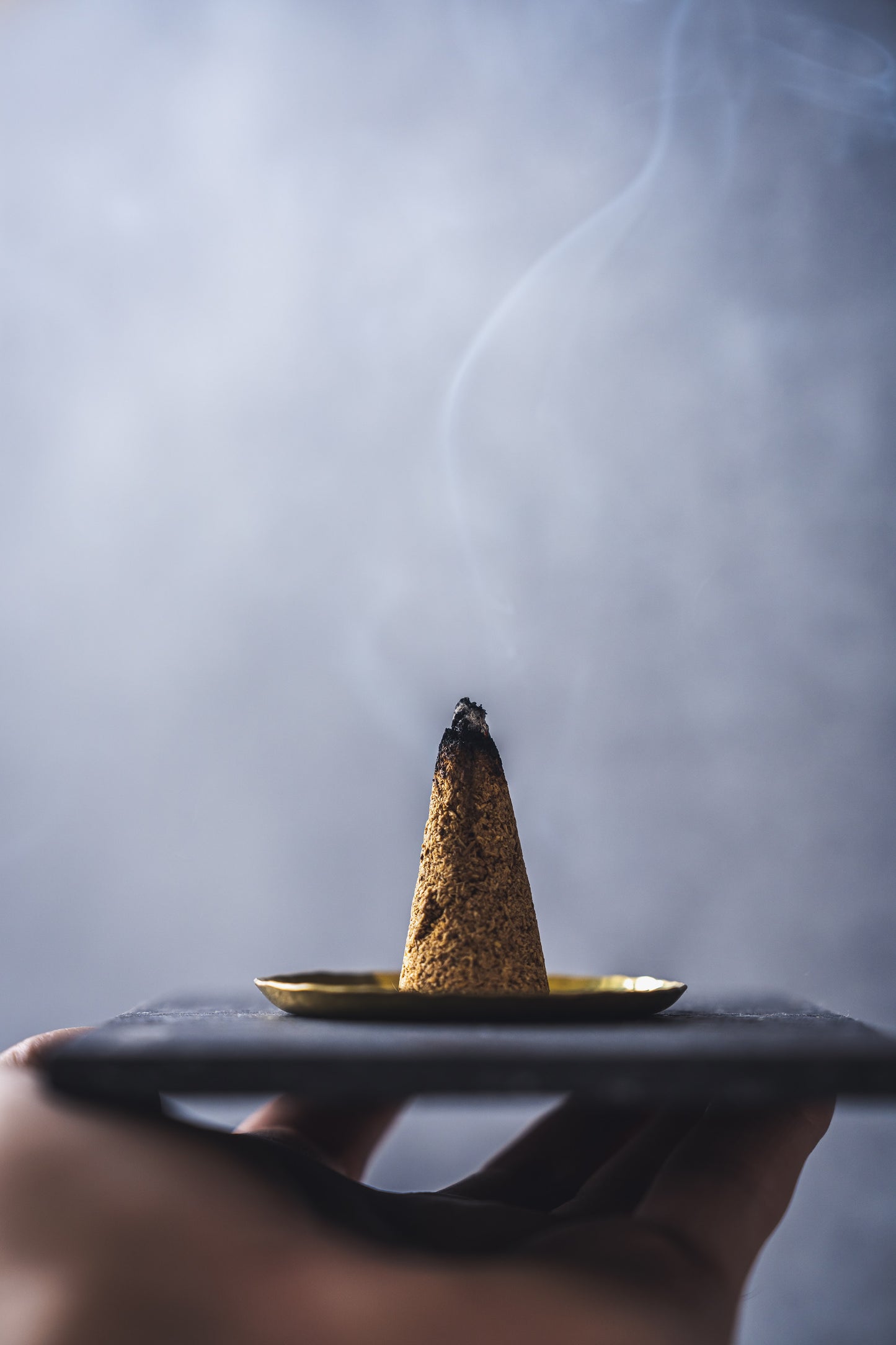 PALO SANTO INCENSE CONE 20個入