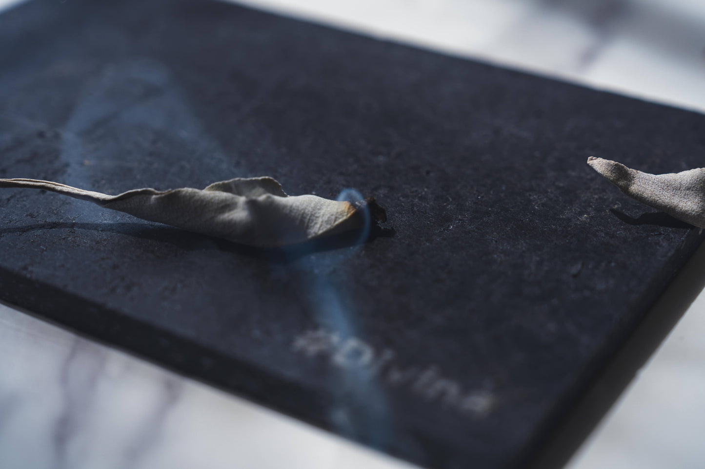 ホワイトセージ　トップス（枝付きリーフ）30g