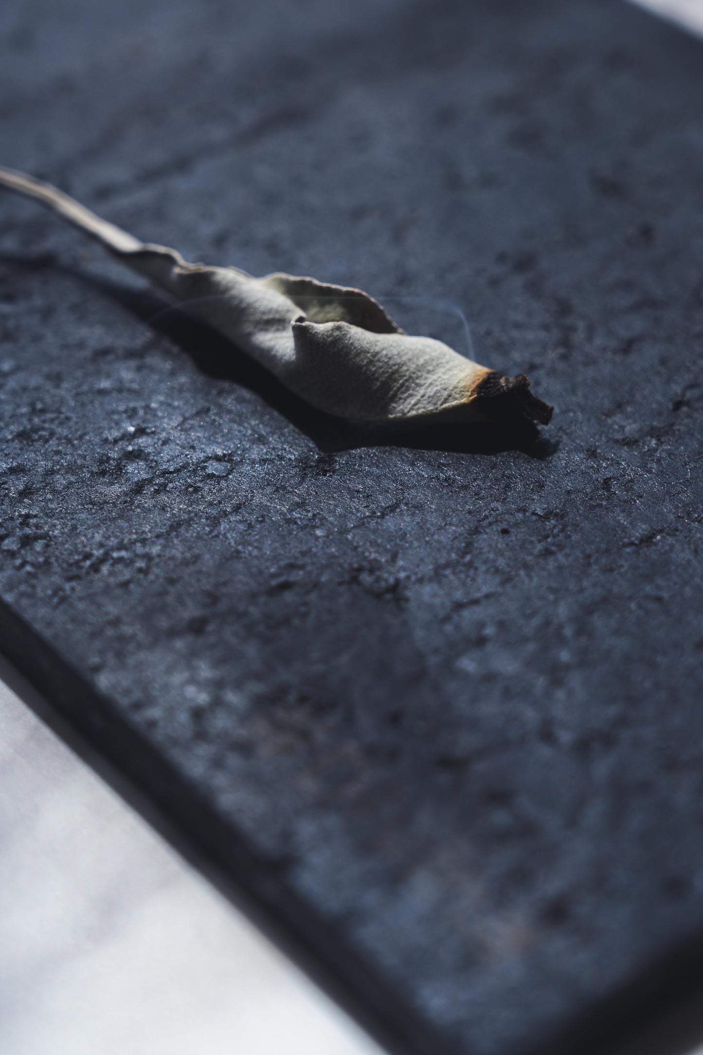 ホワイトセージ　トップス（枝付きリーフ）30g