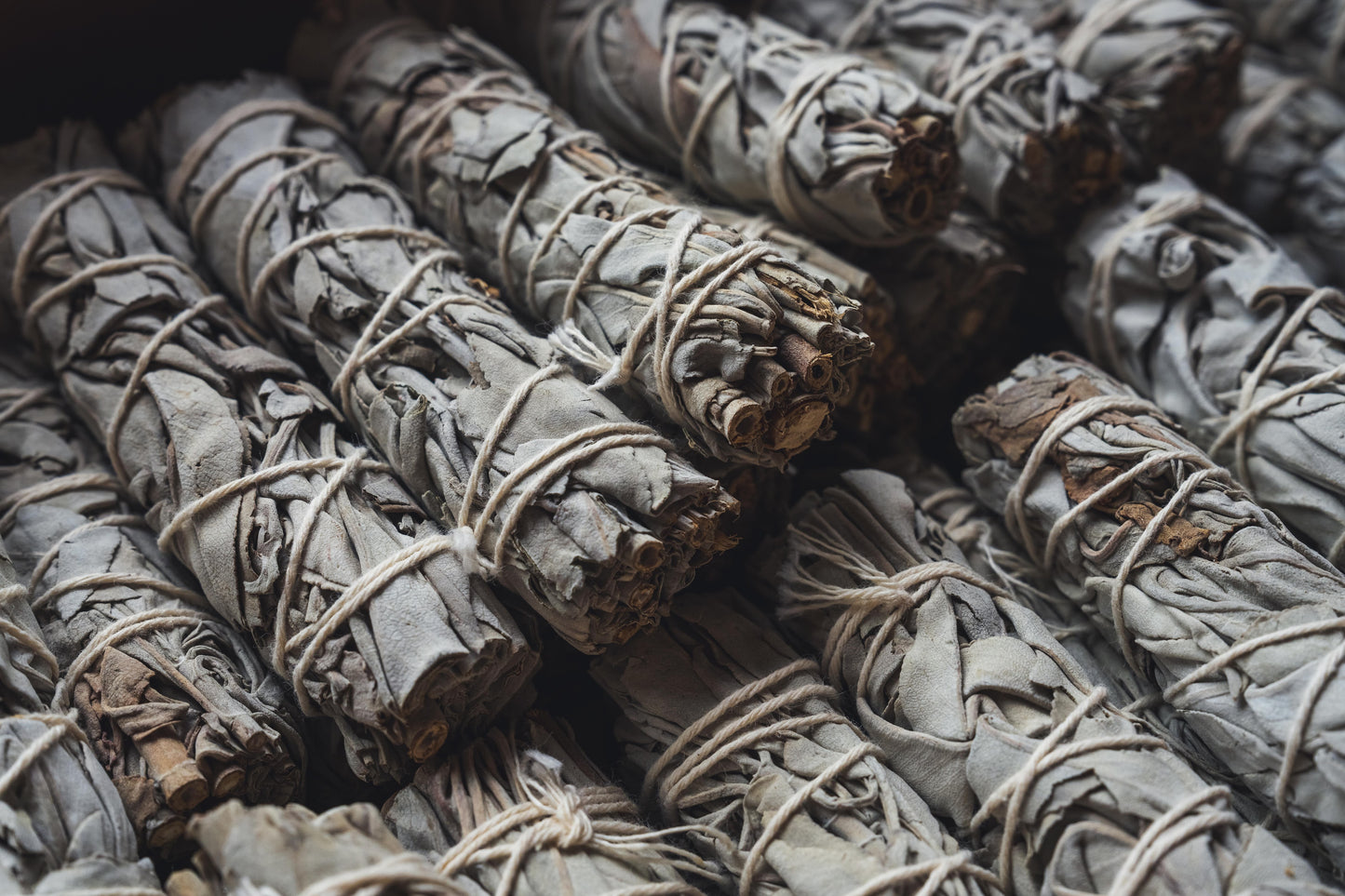 ホワイトセージ　スティック 2本　約30−40g